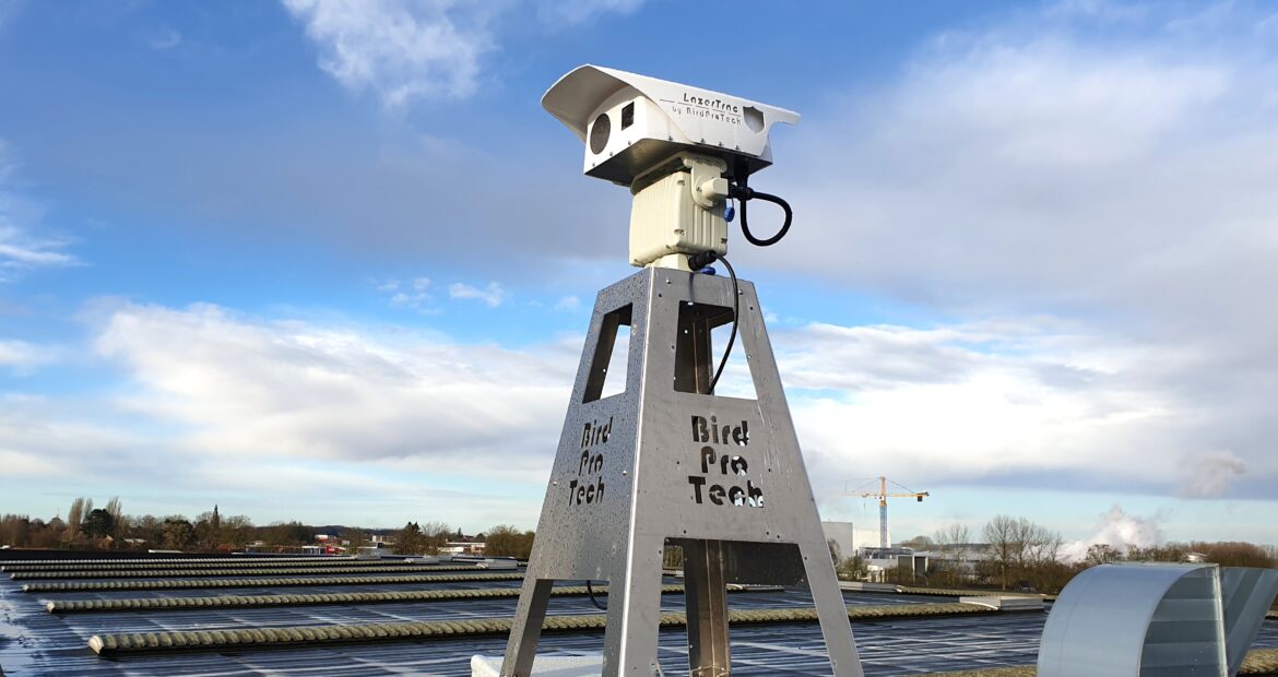 Protect building against pest birds