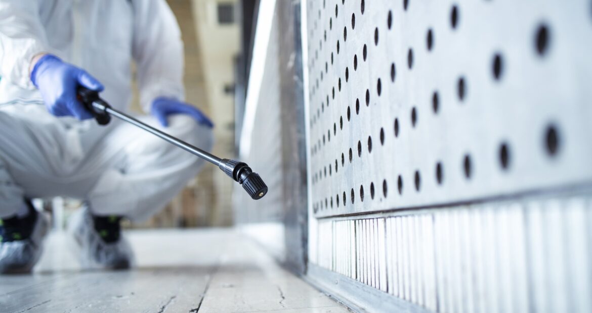Pest Control - Bird Control - BirdProTech Solutions