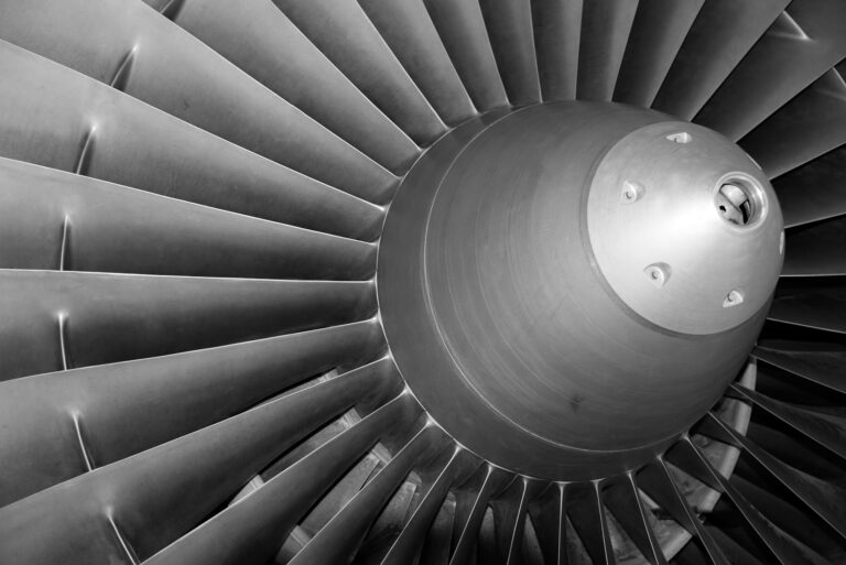 Bird control solution for airport