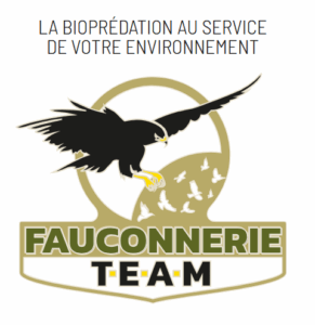 Fauconnerie Team